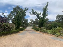 Newell Motor Inn - Narrandera