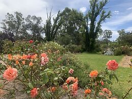 Newell Motor Inn - Narrandera