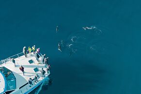 Tasman Holiday Parks - Picton