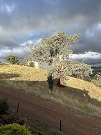 Burnt Creek Cottages Mansfield