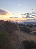 Burnt Creek Cottages Mansfield