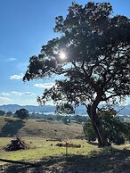 Burnt Creek Cottages Mansfield