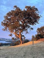 Burnt Creek Cottages Mansfield