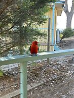 Burnt Creek Cottages Mansfield