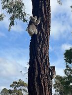 Mallacoota's Shady Gully Caravan Park