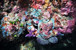 Blue River Apartments - Wooli Ocean - Waterfront