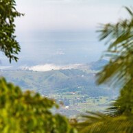 Mt Glorious Getaways