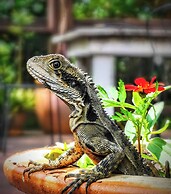 The Belfry Guesthouse