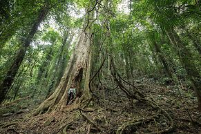 The Belfry Guesthouse