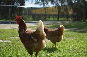 Amande Bed and Breakfast