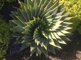 Motel Oasis, Gisborne