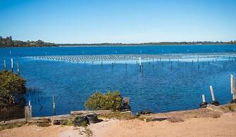 Top of the Lake Units