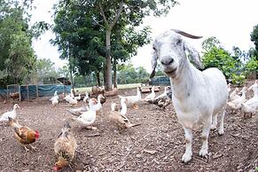 Batchelor Butterfly Farm