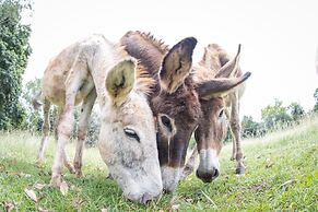 Batchelor Butterfly Farm