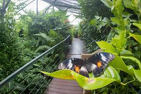 Batchelor Butterfly Farm