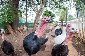 Batchelor Butterfly Farm