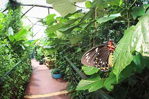 Batchelor Butterfly Farm