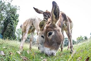 Batchelor Butterfly Farm