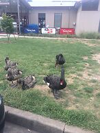 Ambassador Motor Inn Ballarat