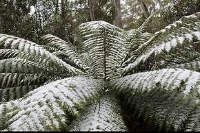 The Great Escape Lofts