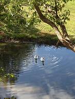 Blue Summit Cottages