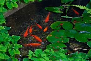 Heritage Trail Lodge Margaret River