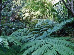 Beachport Bed and Breakfast