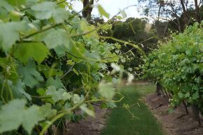 Gisborne Peak Winery Cottages