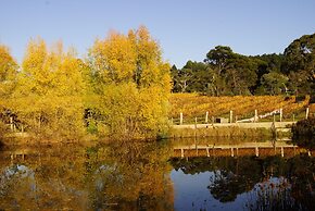 Gisborne Peak Winery Cottages