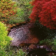 Forget Me Not Cottages