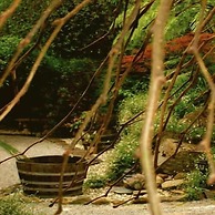 Forget Me Not Cottages