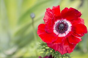 Church Accommodation