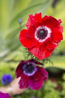 Church Accommodation