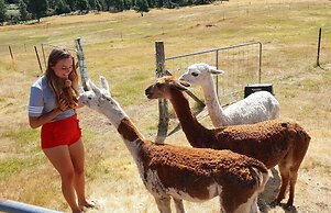 Maydena Mountain Cabins