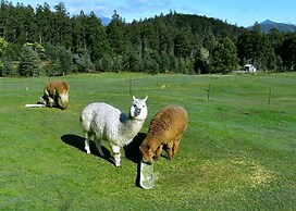 Maydena Mountain Cabins