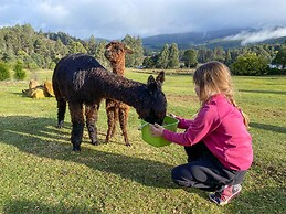 Maydena Mountain Cabins