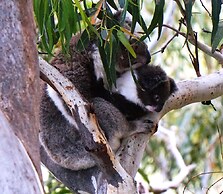 Points South By The Sea