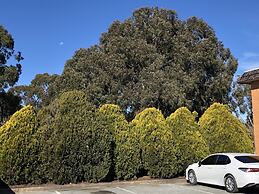 Canberra Lyneham Motor Inn