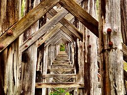 Mariners Cove at Paynesville Motel & Apartments