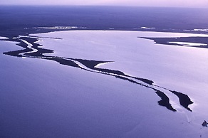 Mariners Cove at Paynesville Motel & Apartments