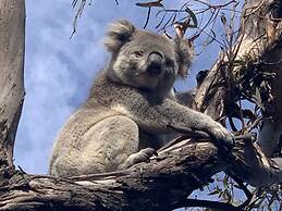 Mariners Cove at Paynesville Motel & Apartments