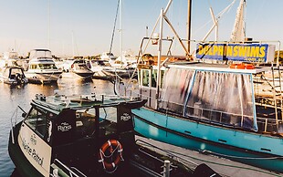 Point Lonsdale Holiday Apartments - Adults only