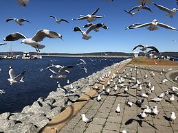 Albany Foreshore Guest House