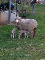 Taras Richmond Farmstay