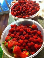 Taras Richmond Farmstay