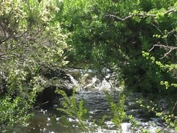 Taras Richmond Farmstay