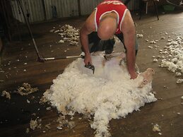 Taras Richmond Farmstay