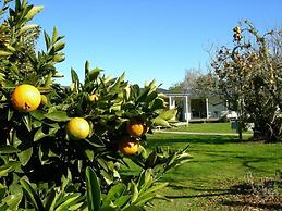 The White Elephant Accommodation - Hostel