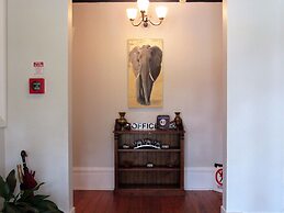 The White Elephant Accommodation - Hostel