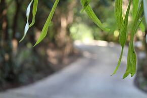 Belle's at Montville